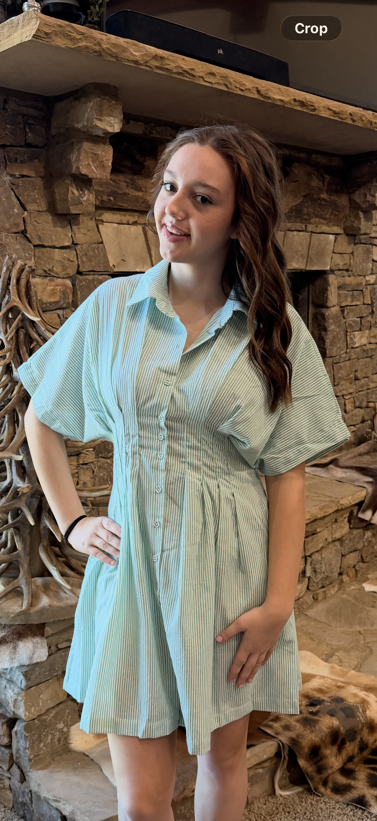 Savannah Striped Dress
