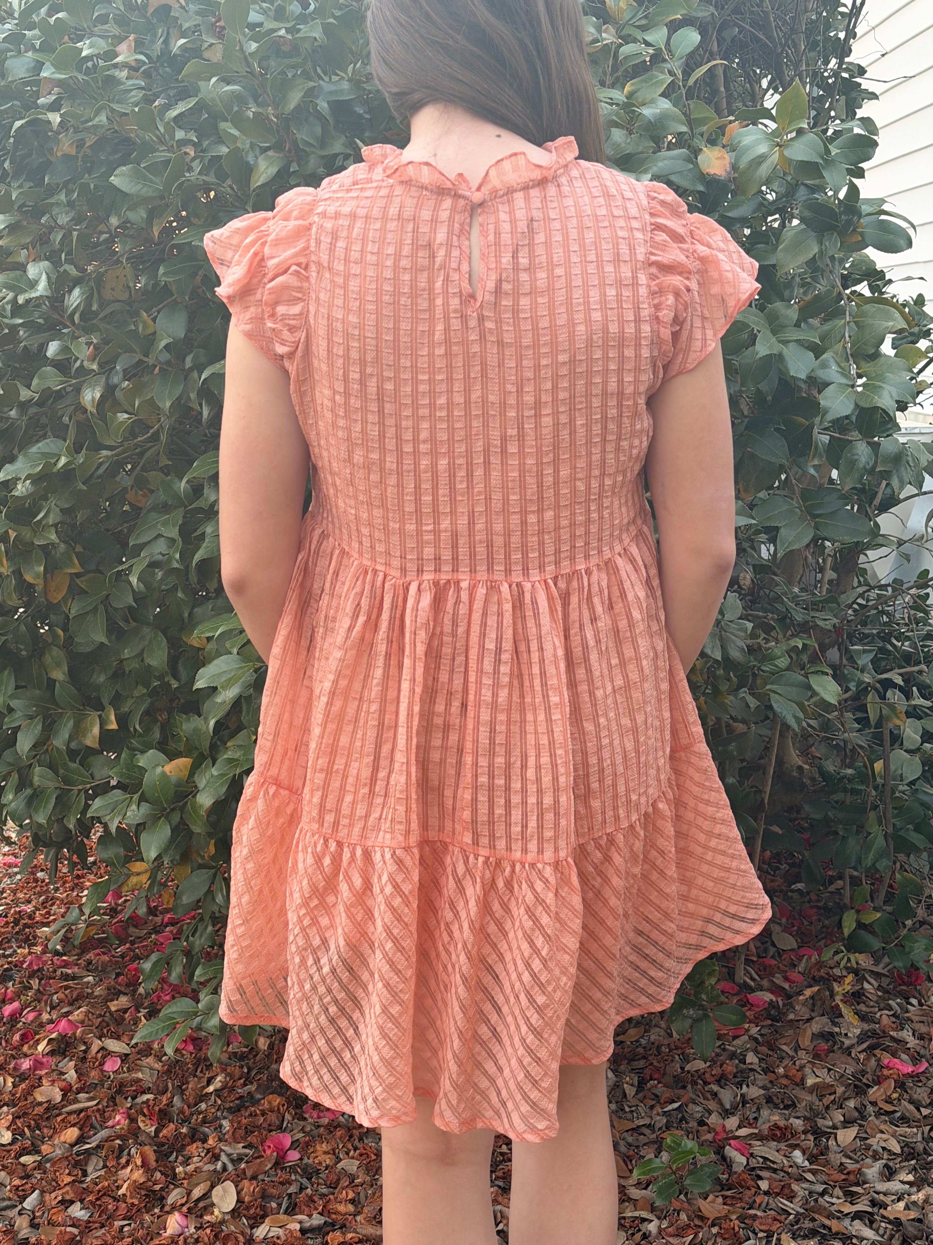The Copper Canyon Dress